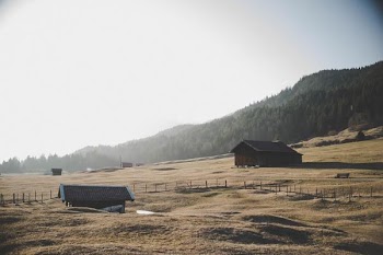 Free Photo of wood, cabin, summer