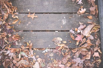 Free Photo of wood, deck, leaves