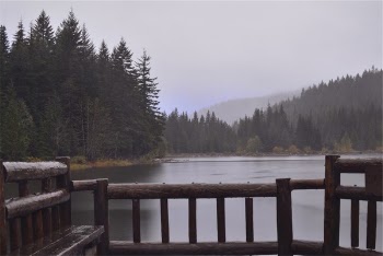Free Photo of wood, dock, lookout