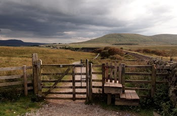 Free Photo of wood, fence, farm