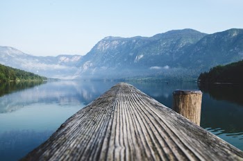 Free Photo of wood, log, lake