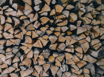 Free Photo of wood, logging, tree