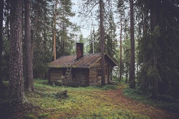 Free Photo of wood, logs, cabin
