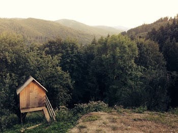 Free Photo of wood, shed, woods