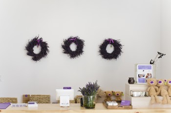 Free Photo of wreath, flowers, ring