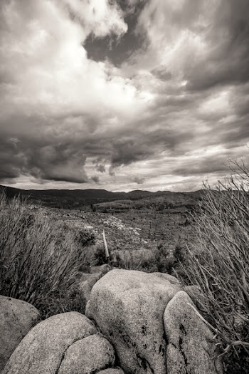 Free Photo of yosemite, black and white, nature