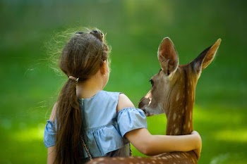 Free Photo of young, girl, deer