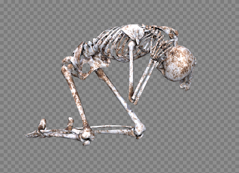 Free photo Png Pose Kneeling Skull Skeleton Bones 3d - Max Pixel