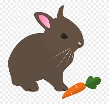 Free Photo Rabbit Spring Hare Animal Pet Easter Nature - Clip Art Kelinci