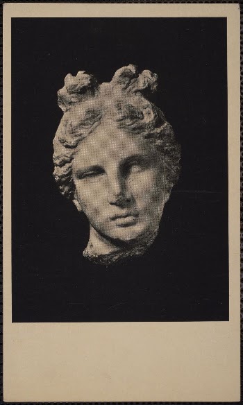      | Free Photo - rawpixel