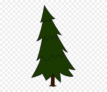 Free Pictures Conifer - Spruce Tree Clip Art