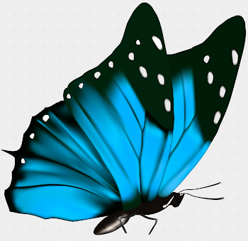 Free PNG Butterfly | Konfest