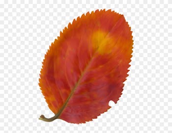 Free Png Download Beautiful Fall Leaf Clipart Png Photo - Natural Landscape