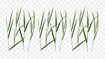 Free Png Download Grass Blade Texture Png Images Background ...
