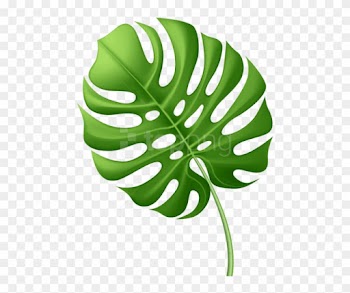 Free Png Download Large Tropical Leaf Clipart Png Photo - Tropical Leaf Clipart Png