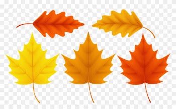Free Png Download Set Fall Leaves Clipart Png Photo - Maple Leaf