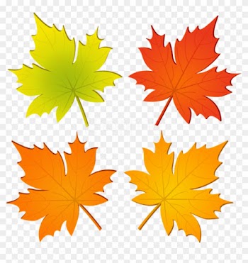 Free Png Download Set Of Autumn Leaves Png Clipart - Maple Leaf
