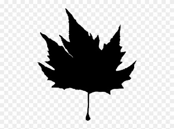 Free Png Leaf Silhouette Png Images Transparent - Maple Leaf
