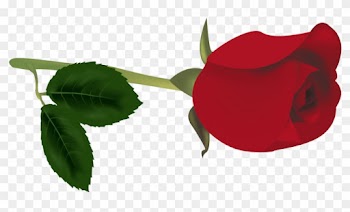 Free Png Red Rose Bud Png Images Transparent - Rose Bud Clip Art