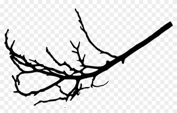 Free Png Tree Branches Silhouette Png Images Transparent - Tree Branch Transparent Background