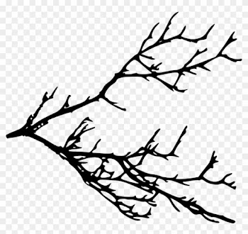 Free Png Tree Branches Silhouette Png Images Transparent - Tree Branches Silhouette