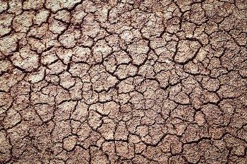 Free public domain CC0 photo. | Free Photo - rawpixel