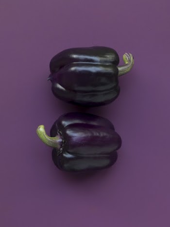 Free purple bell pepper, capsicum, | Free Photo - rawpixel
