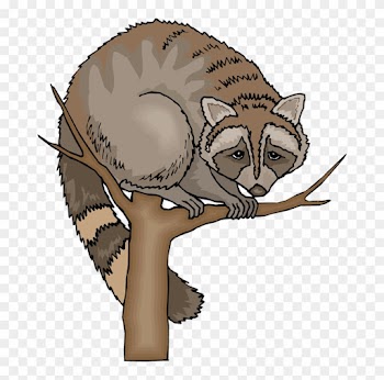 Free Raccoon Clipart - Raccoon In Tree Clipart