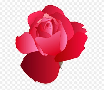 Free Red Rose - Cartoon Blue Rose