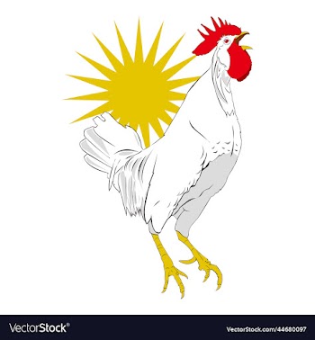 free rooster