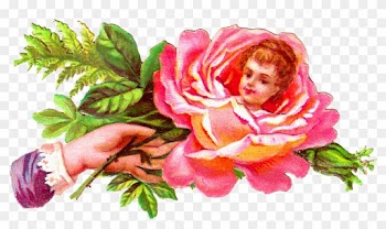 Free Rose Graphic - Love Rose Scrap