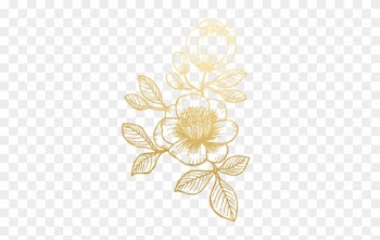 Free Scroll Border Clipart - Gold Flower Png