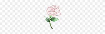 Free Single Rose Free Zooplankton Silhouette - Garden Roses