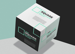Free Square Box Mockup square kaging square okpack.acng 