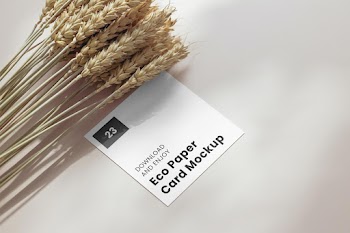 Free Square Card with Cereal Mockup