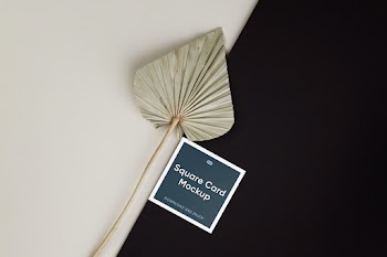 Free Square Card with Leaf Mockup