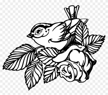 Free Stock Collection Of Free Branch - Rose And Bird Draw