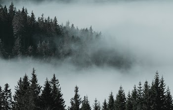 Free stock photo from Rok · Pexels