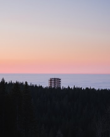 Free stock photo from Rok · Pexels