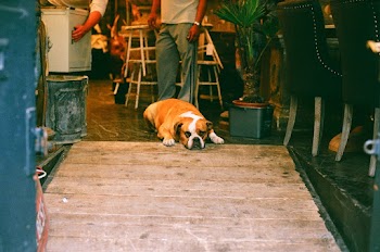 Free stock photo of 35mm, 35mm film, analog photography