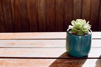 Free stock photo of 35mm, 35mm film, analog photography