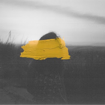 Free stock photo of 35mm, acrylic, black-and-white