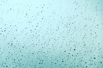 Free stock photo of abstract, background, dew