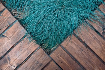 Free stock photo of abstract, floor, grass