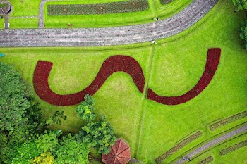 Free stock photo of aerial photography, aerial shot, aerial view