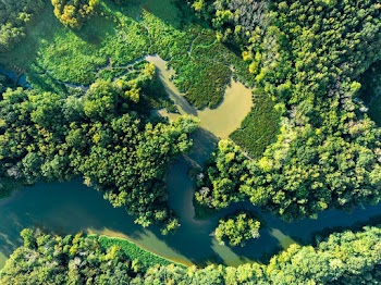 Free stock photo of aerial shot, color, countryside