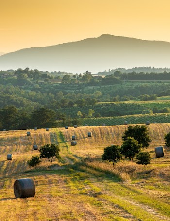 Free stock photo of agriculture, country, countryside