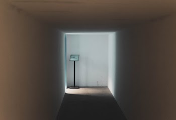 Free stock photo of architectural design, ceiling, contemporary