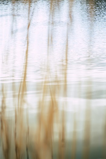Free stock photo of art, beautiful, beauty