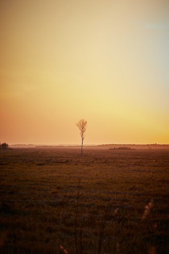 Free stock photo of backlit, beach, dawn